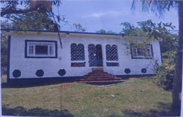3 Bed 2 Bath House For Sale Houses Linstead