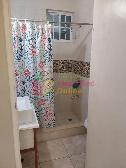 Charming 3 Bedrooms In Reading Manor For $1600