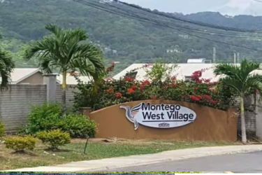 WEST VILLAGE 2 BED 1 BATH USD 295,000