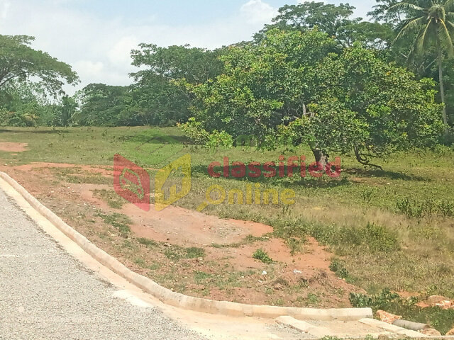Linstead Residential Lots