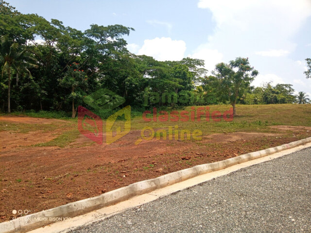 Residential Lots