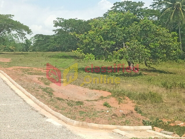 Residential Lots
