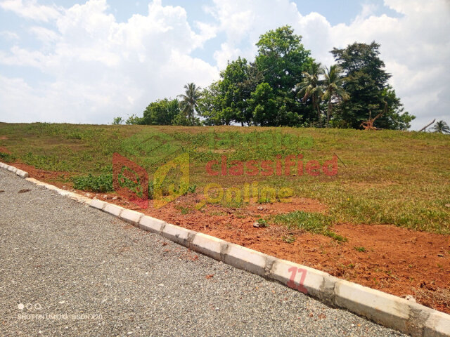 Residential Lots