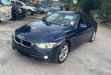 2016 BMW 318I  Cars LIGUANEA
