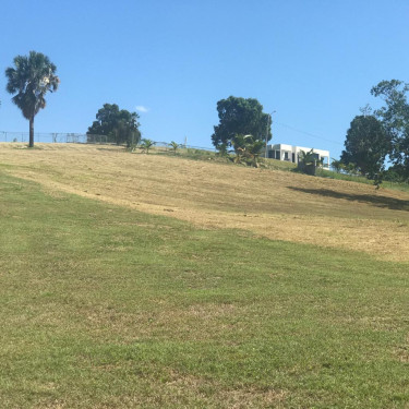1/3 Acre