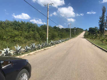 1/3 Acre