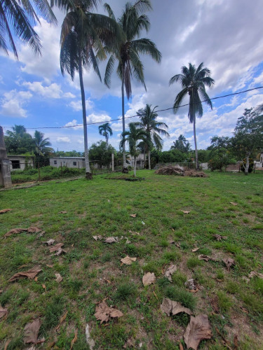 Country Living! 2-Bedroom House On Large Property