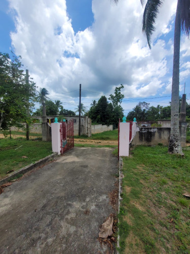 Country Living! 2-Bedroom House On Large Property