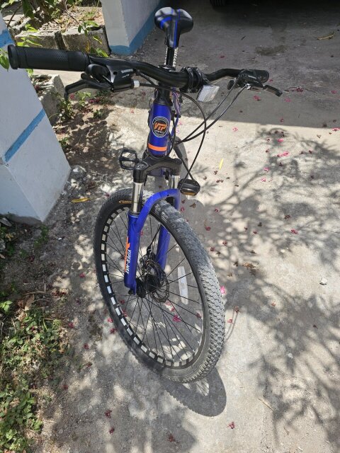 VIPER MAX BICYCLE Other Market Old Harbour