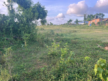 2 Acres Of Land In Brighton District St. Elizab