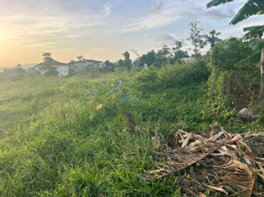 2 Acres Of Land In Brighton District St. Elizab