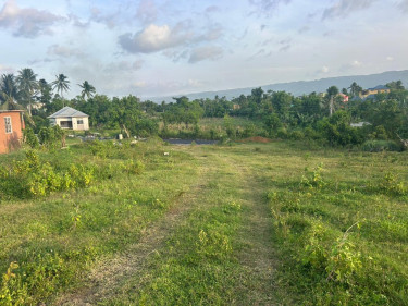 2 Acres Of Land In Brighton District St. Elizab
