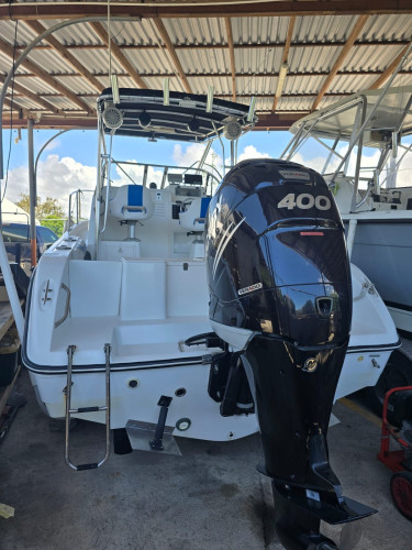 Cobia For Sale.. Prestine Condition