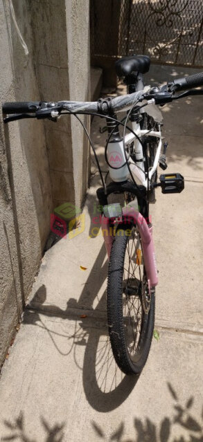 10 SPEED YOUNG ADULT BICYCLE FOR SALE