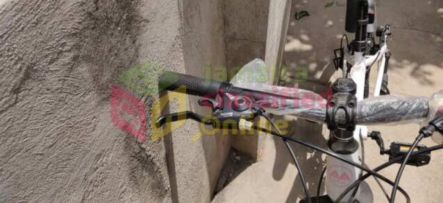 10 SPEED YOUNG ADULT BICYCLE FOR SALE