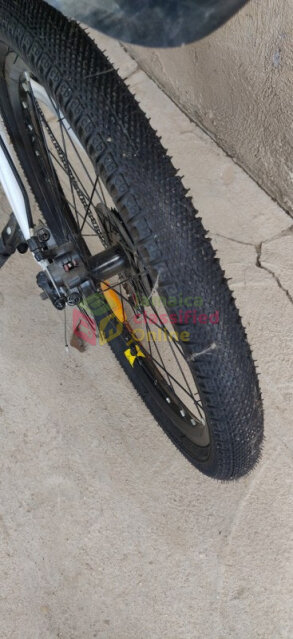 10 SPEED YOUNG ADULT BICYCLE FOR SALE