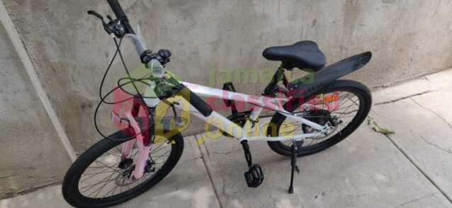 10 SPEED YOUNG ADULT BICYCLE FOR SALE