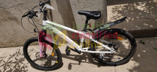 10 SPEED YOUNG ADULT BICYCLE FOR SALE Bikes PORTMORE