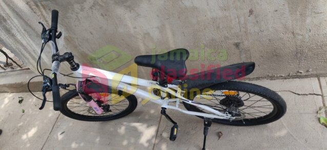 10 SPEED YOUNG ADULT BICYCLE FOR SALE