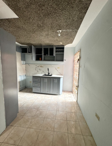 Updated 1 Bedroom Studio Near New Kingston Apartments Manley Meadows