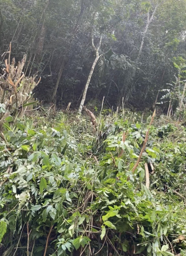 10,000 Sq Ft Lots