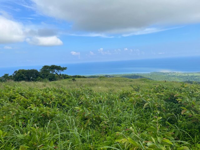 Land For Sale| Richmond Sam Clark, St. Ann