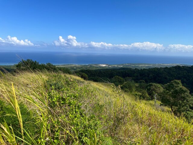 Land For Sale| Richmond Sam Clark, St. Ann