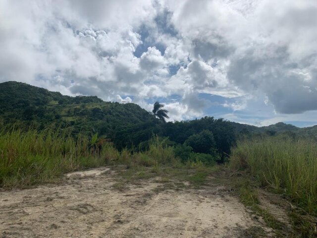 Land For Sale| Richmond Sam Clark, St. Ann