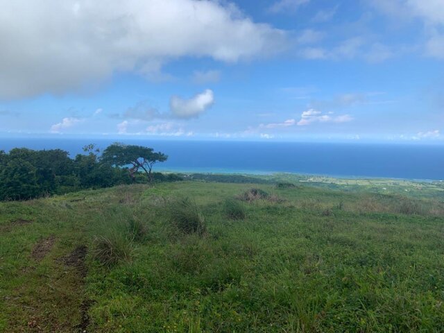 Land For Sale| Richmond Sam Clark, St. Ann