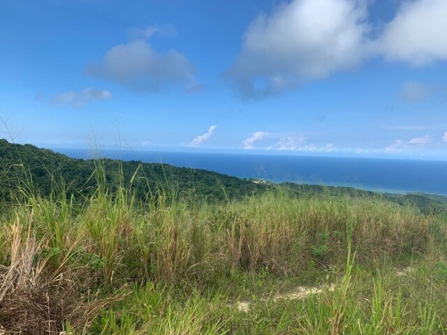 Land For Sale| Richmond Sam Clark, St. Ann