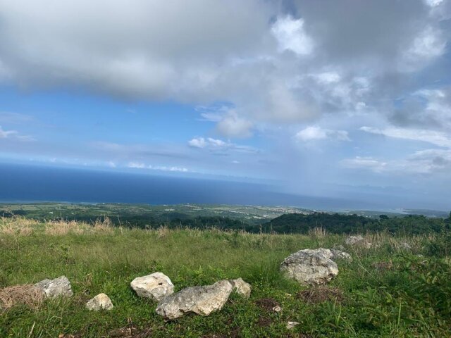 Land For Sale| Richmond Sam Clark, St. Ann