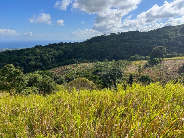 Land For Sale| Richmond Sam Clark, St. Ann