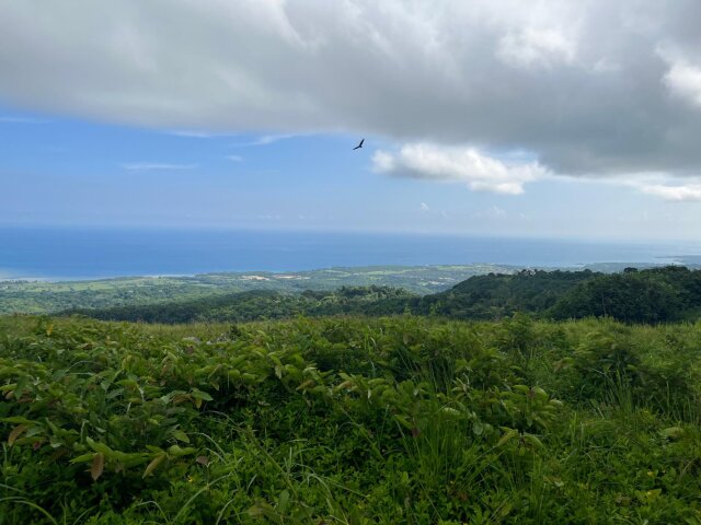 Land For Sale| Richmond Sam Clark, St. Ann