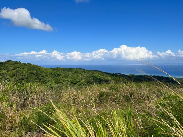 Land For Sale| Richmond Sam Clark, St. Ann