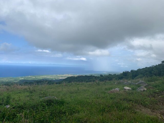 Land For Sale| Richmond Sam Clark, St. Ann