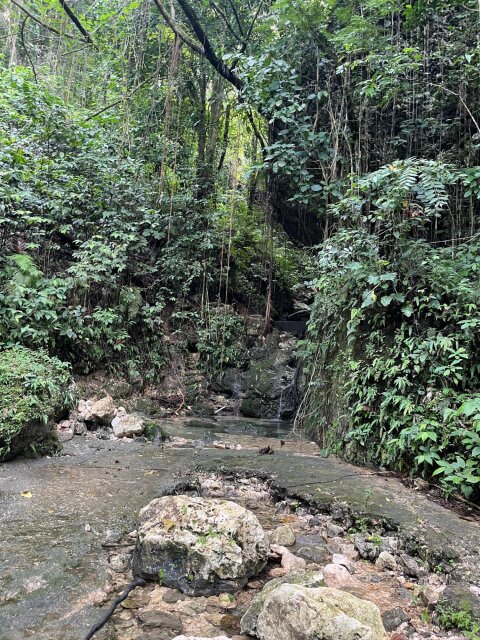 Land For Sale| Richmond Sam Clark, St. Ann