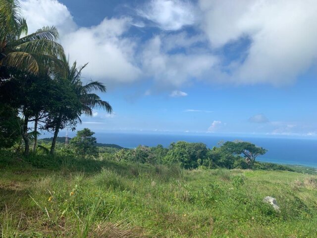 Land For Sale| Richmond Sam Clark, St. Ann Land St. Ann