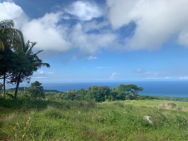 202 ACRES - MOUNT ZION/RICHMOND, ST. ANN