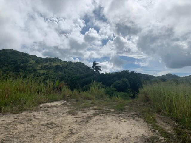 202 ACRES - MOUNT ZION/RICHMOND, ST. ANN