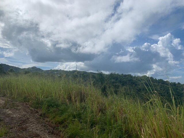 202 ACRES - MOUNT ZION/RICHMOND, ST. ANN