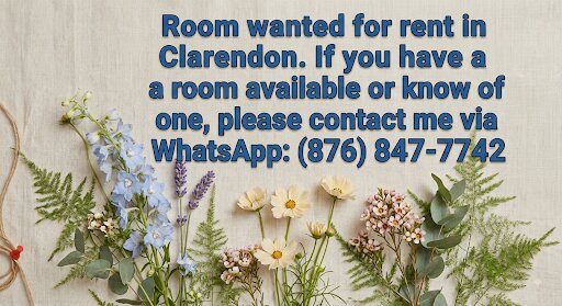 1 ROOM WANTED IN CLARENDON Houses Clarendon
