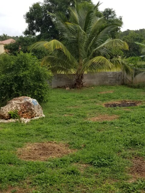 3 Bedroom 2.5 Bath House For Sale