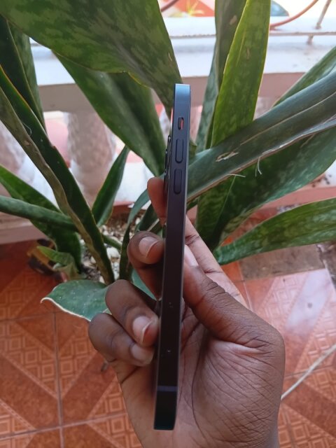 IPhone 12