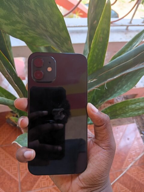 IPhone 12