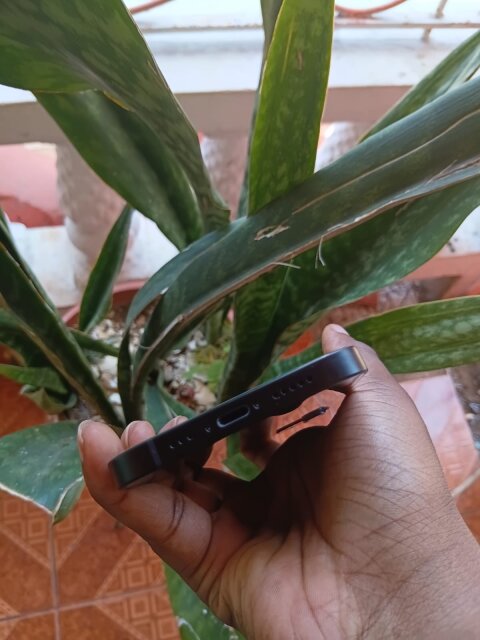 IPhone 12