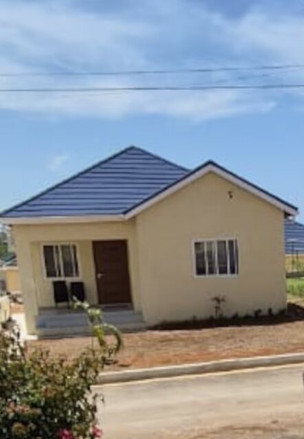 Brand New 2 Bedrooms 2 Baths
