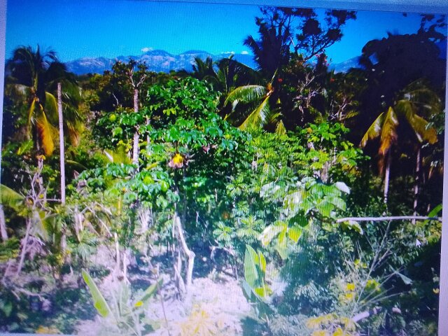 4 Acres Of Land