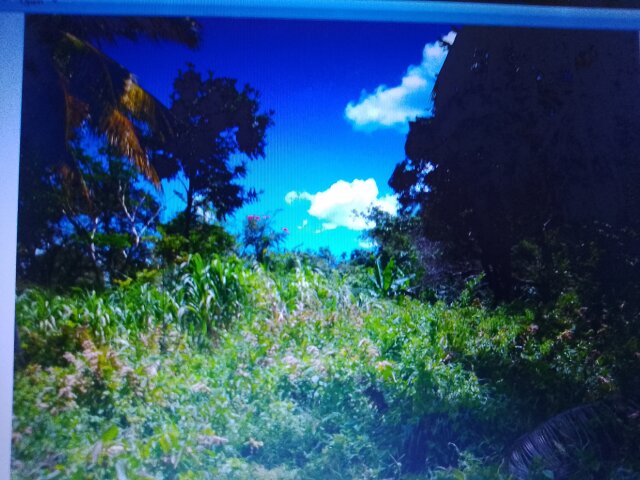 4 Acres Of Land