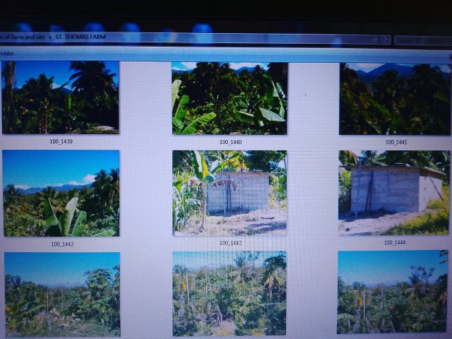 4 Acres Of Land Land Swiss And Valley Settlement, Spring Garden