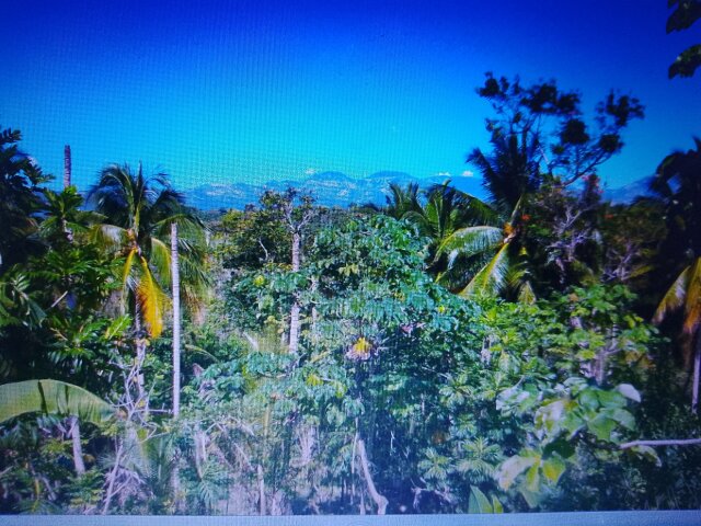 4 Acres Of Land